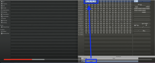 looking for the right value to change with a hex editor