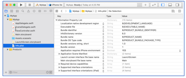 info.plist encryption ios apps