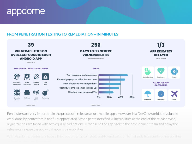 Penetration Testing Datasheet Preview