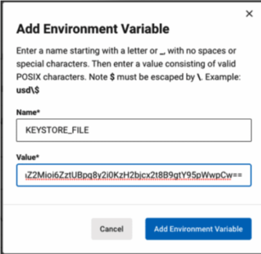 Add environment variable