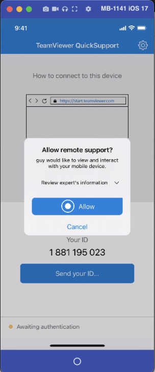 Allow Remote Support