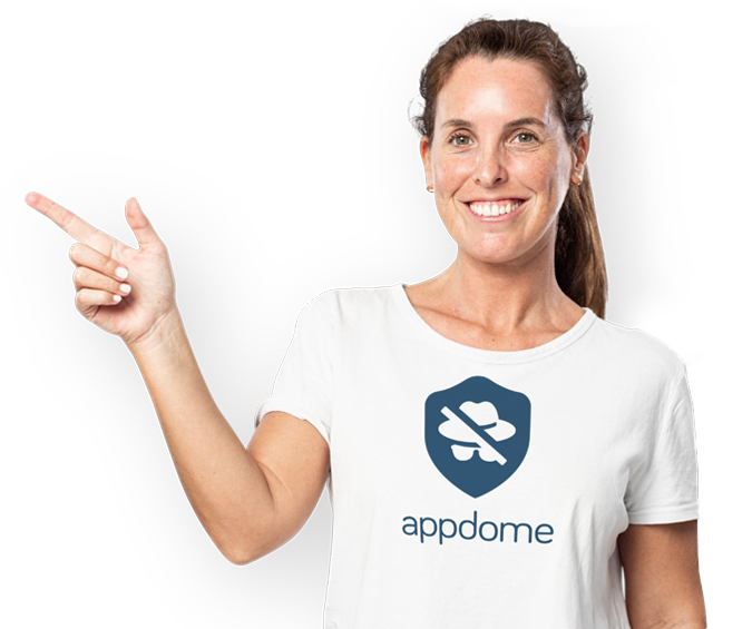 Fraud Prevention Persona 3