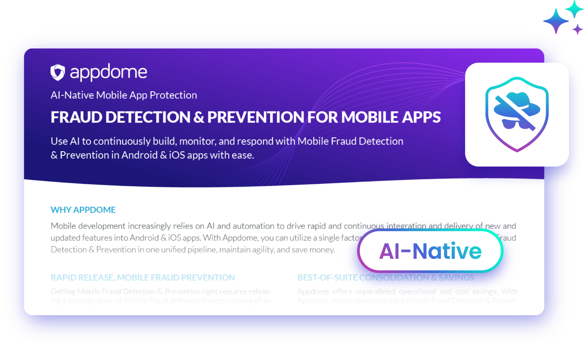 Preview Image Fraud 5