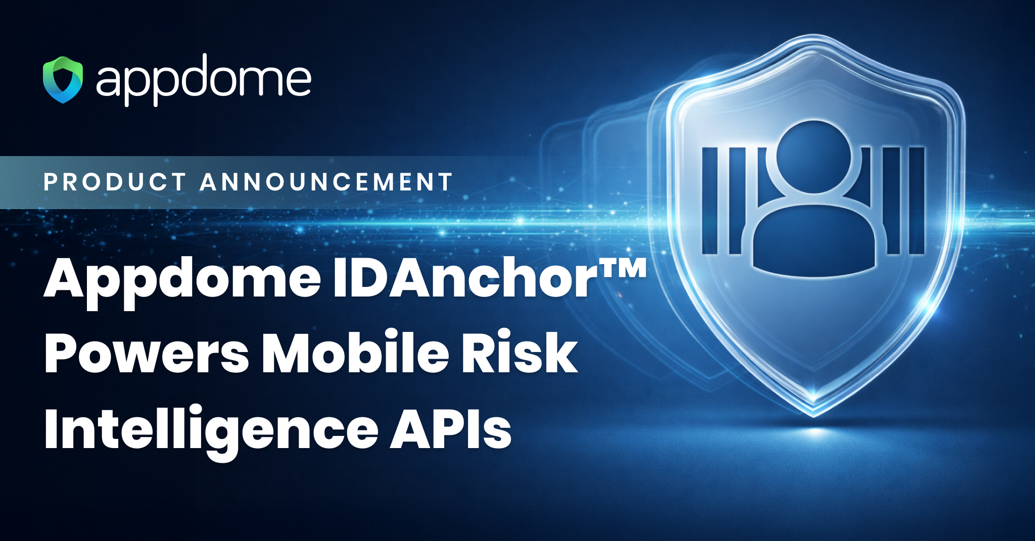 Idanchor™ Gets New Risk Intelligence Apis