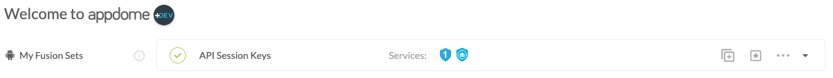 Fusion Set applied API Session Keys