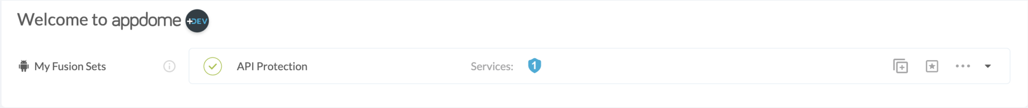 Fusion Set applied API Protection
